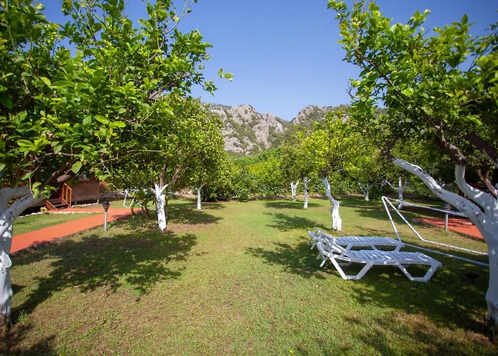 Baris Pension & Bungalows