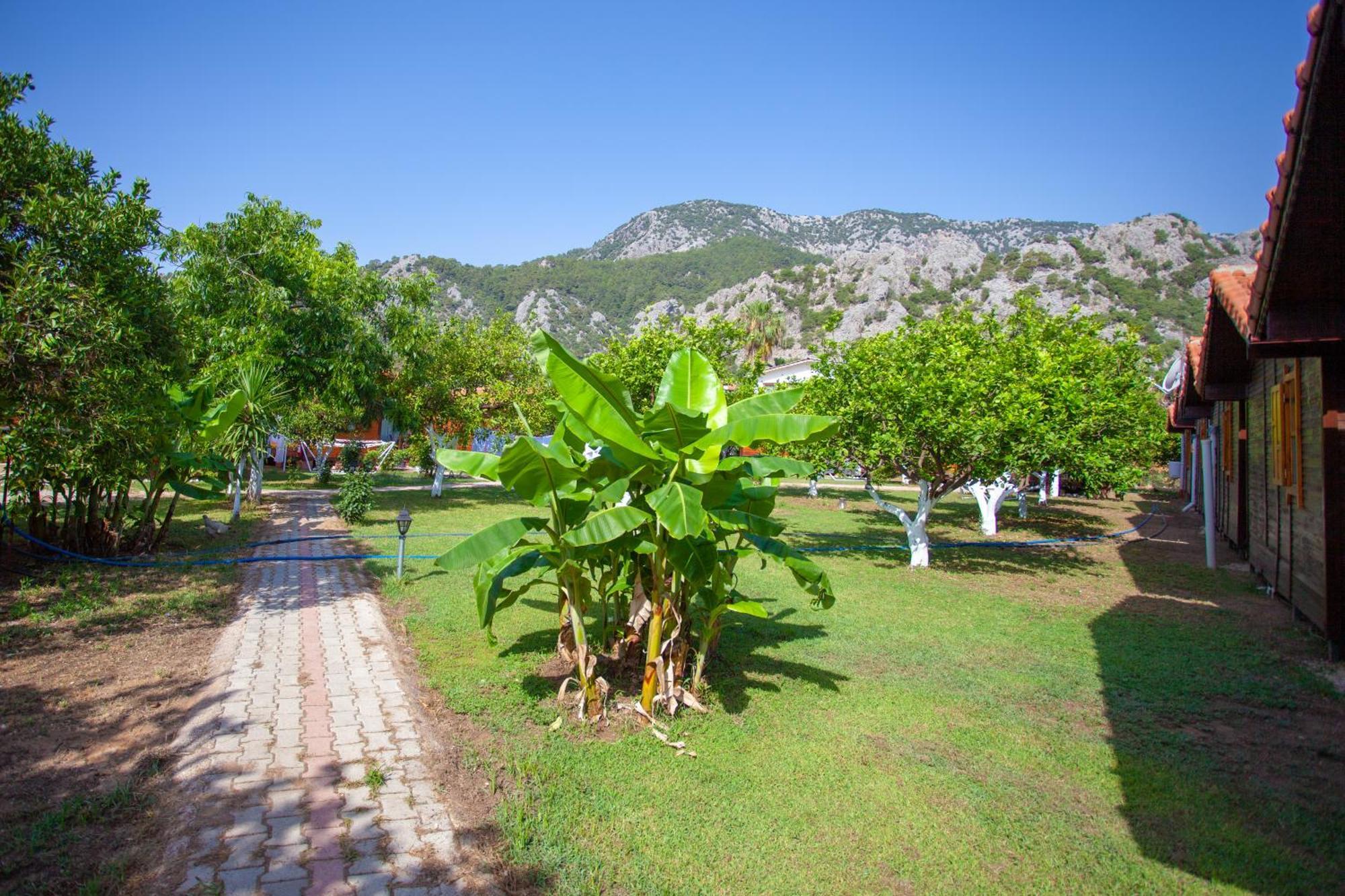 Baris & 2* Çıralı