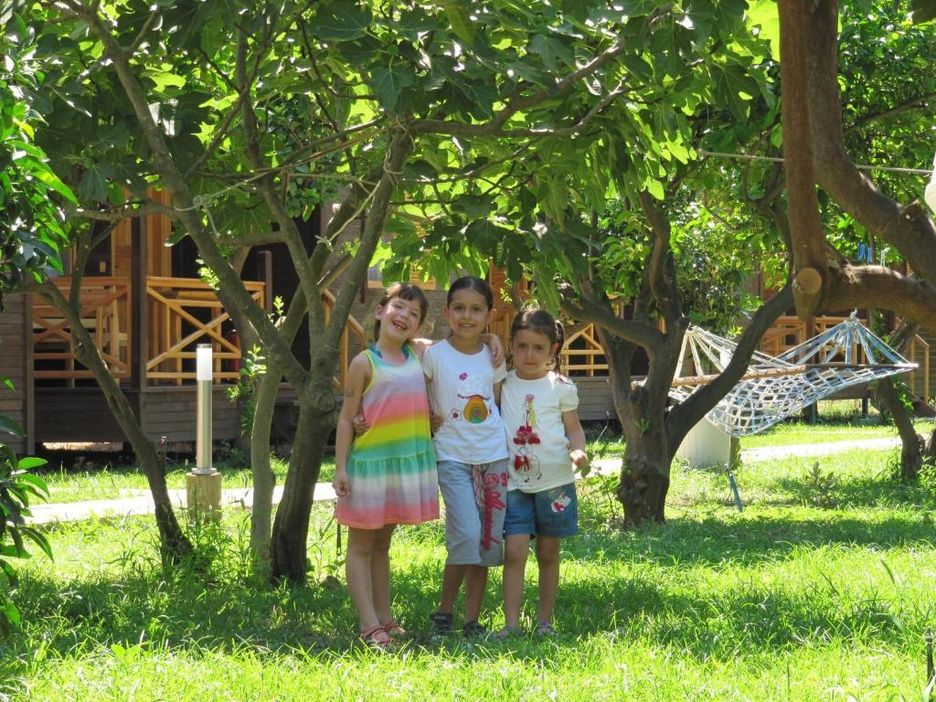 Baris & Vakantiepark 2*