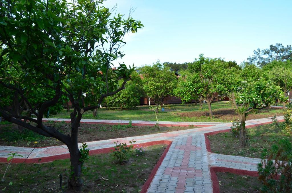 Baris & Vakantiepark Çıralı