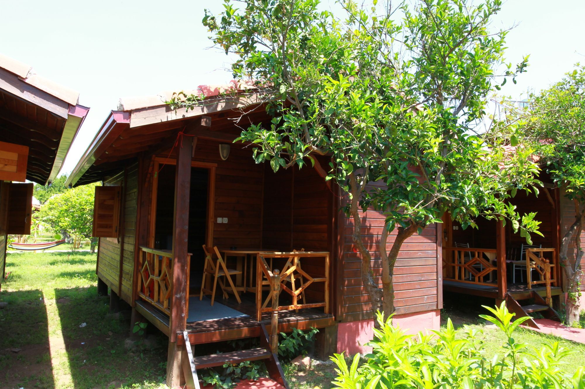 Baris & Çıralı